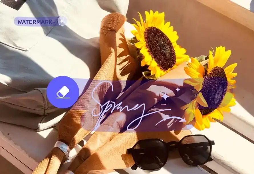 Rimozione Rapida Filigrana Foto